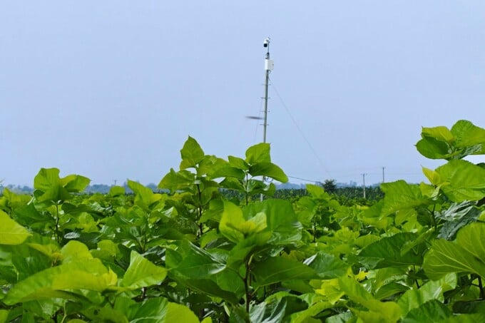 Hơn 50 quỹ đầu tư và công ty chứng khoán “mục sở thị” dự án HAGL