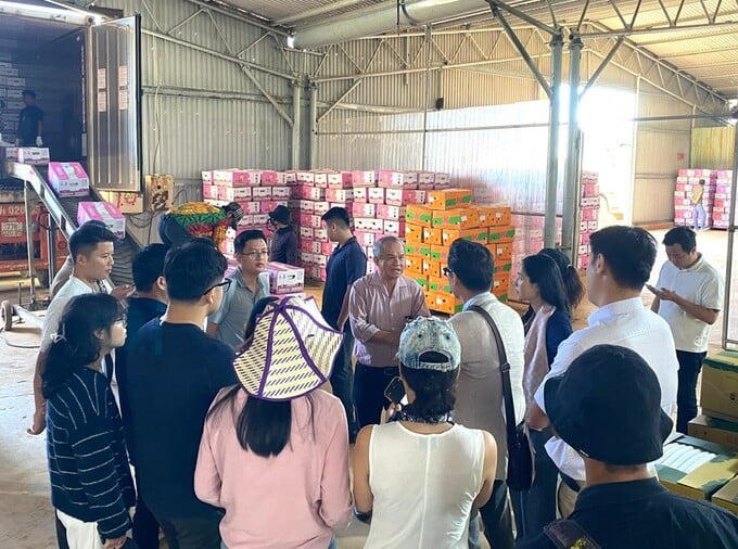 Hơn 50 quỹ đầu tư và công ty chứng khoán “mục sở thị” dự án HAGL