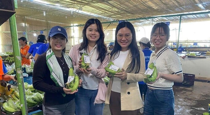 Hơn 50 quỹ đầu tư và công ty chứng khoán “mục sở thị” dự án HAGL