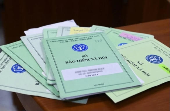 Vận tải Tân Mai, Xuất nhập khẩu Đông Dương, Goody Group bị phạt vì chậm đóng bảo hiểm