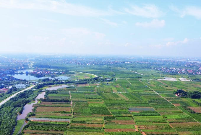 Hưng Yên tiếp tục thúc tiến độ dự án Trump International