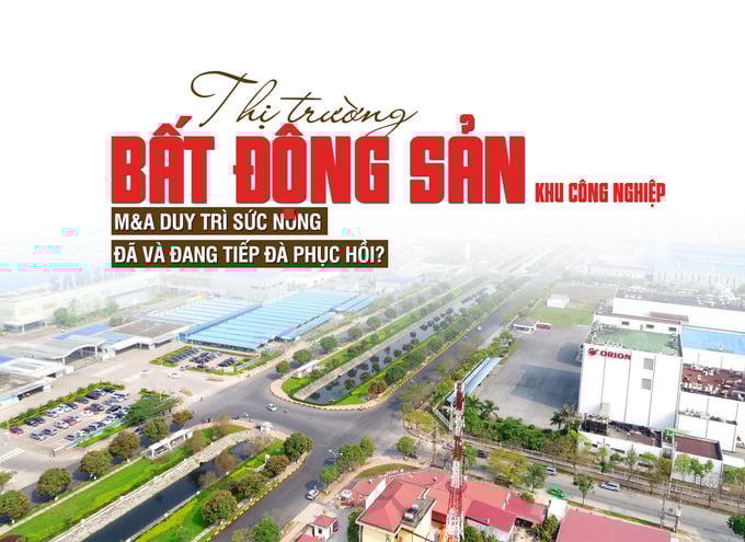 Thị trường bất động sản công nghiệp: M&A duy trì sức nóng, đã và đang tiếp đà phục hồi