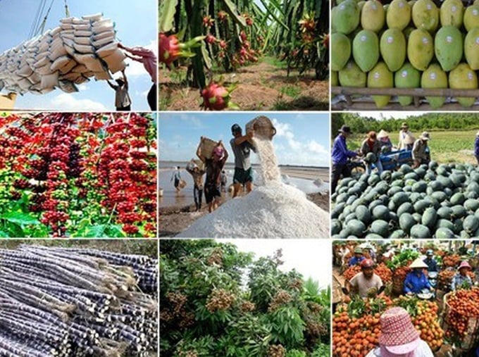 Năm ngành hàng tỷ USD kiến nghị Quốc hội gỡ khó về chính sách thuế GTGT