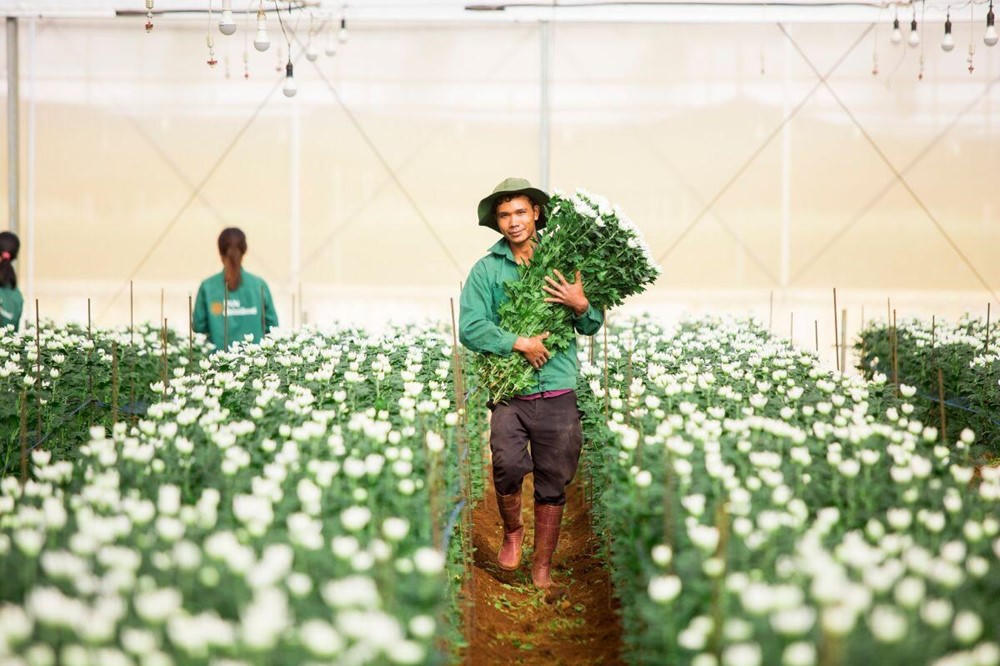 Thành viên Pan Group vừa tất toán 200 tỷ đồng trái phiếu, dư nợ còn bao nhiêu?