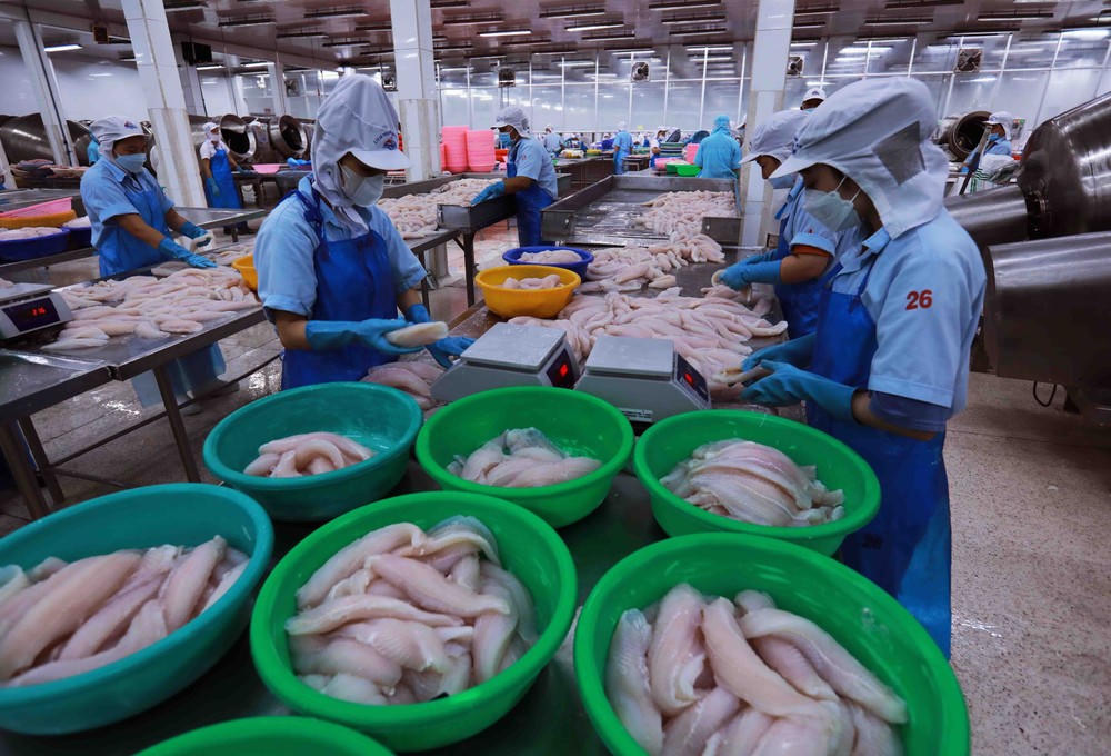 Xuất khẩu thủy sản sang Nhật Bản duy trì đà tăng trưởng mạnh - ảnh 1