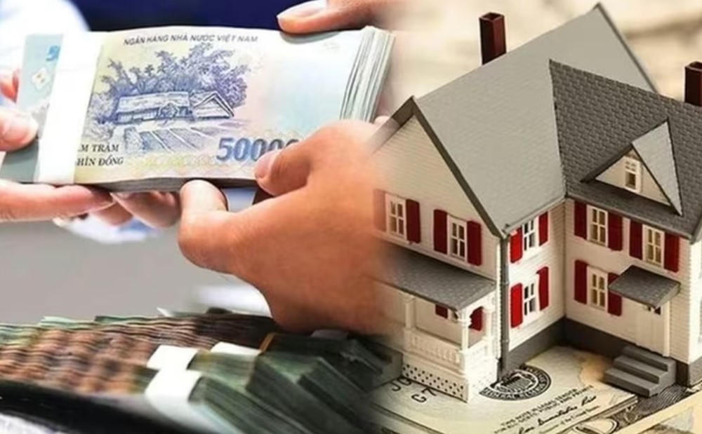 Hộ, cá nhân cho thuê nhà, cửa hàng,… cần nộp những loại thuế nào? - ảnh 1