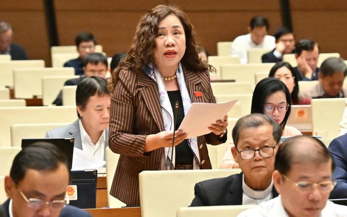 Đại biểu đề nghị có chính sách ưu đãi tín dụng, thuế TNDN phát triển cơ sở dưỡng lão