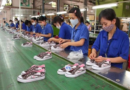 Doanh thu giảm mạnh, hoạt động kém sắc nhưng vì sao cổ phiếu GTD bất ngờ tăng trần nhiều phiên?