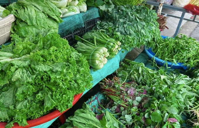 Giá rau xanh “hạ nhiệt” sau thời gian tăng nóng