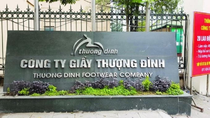 Cổ phiếu Giày Thượng Đình và VTC Telecom tăng bung nóc sau tin nhà nước thoái vốn