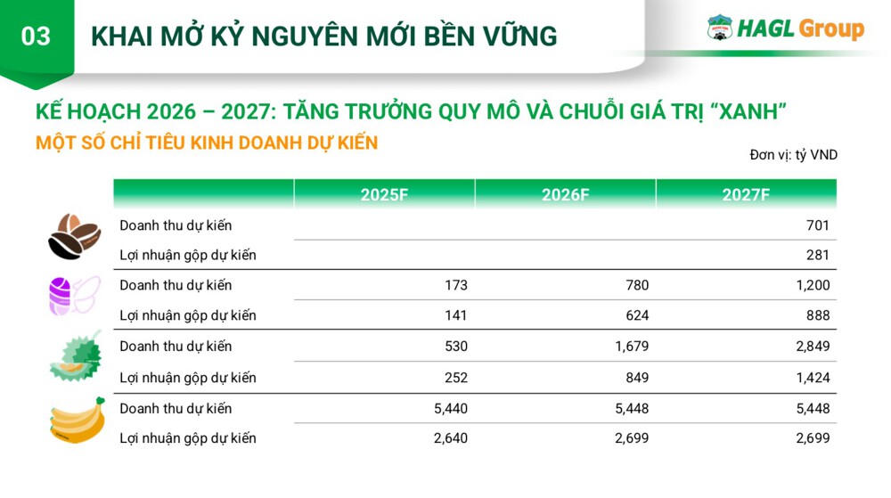 Kế hoạch 2026-2027 của HAGL.