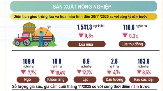Tình hình kinh tế - xã hội 11 tháng