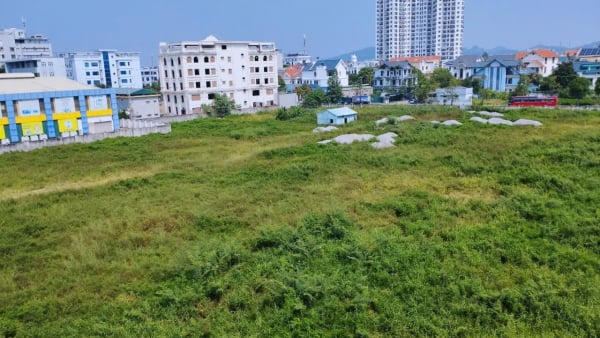 Vì sao gần 50 sàn bất động sản ở Thanh Hóa, chỉ hai đơn vị đạt chuẩn pháp lý?