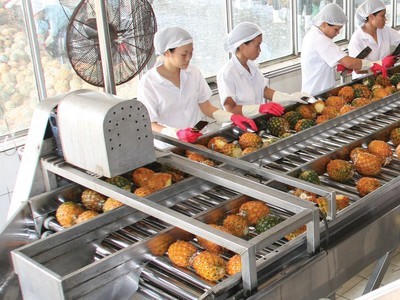 Tân binh ngành nông sản vừa chào sàn đã "tím lịm", AFX có gì khiến dòng tiền nhập cuộc mạnh?