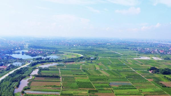 Giảm 70% tiền chuyển đổi đất nông nghiệp sang đất ở