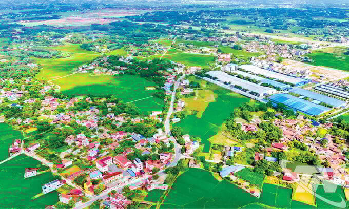 Ngân sách cho Chương trình mục tiêu Quốc gia giai đoạn 2026-2030 khoảng 423.000 tỷ đồng