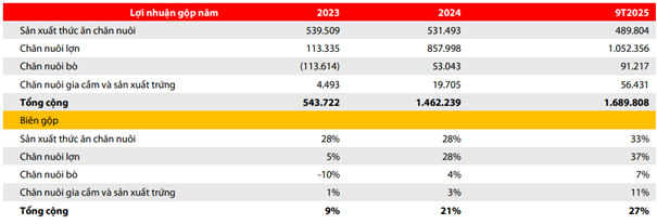 Lợi nhuận gộp các mảng của HPA