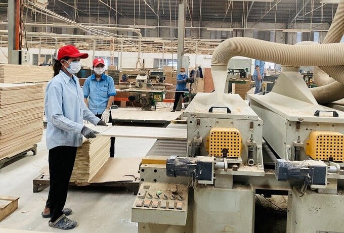 Xuất khẩu gỗ và lâm sản dự báo vượt 18 tỷ USD trong năm 2025