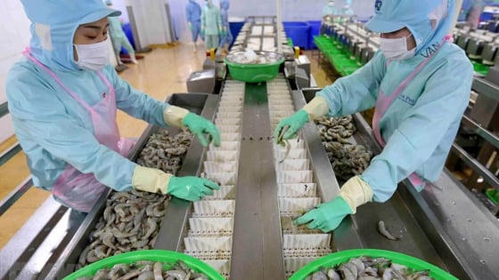 Quản lý chất lượng: Đòn bẩy nâng năng suất, khẳng định vị thế