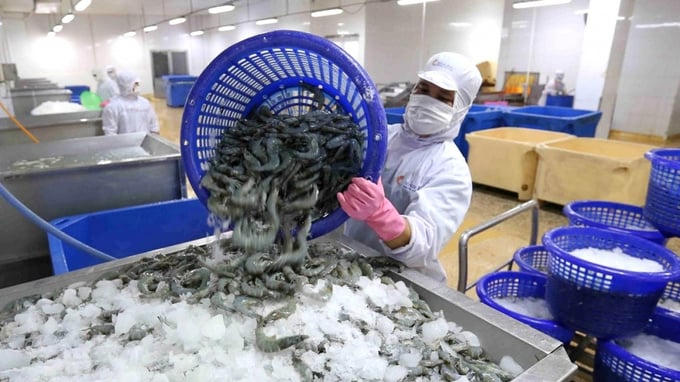 Quản lý chất lượng: Đòn bẩy nâng năng suất, khẳng định vị thế