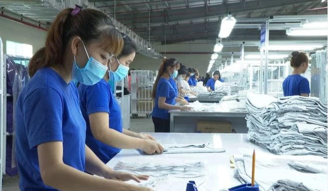 Đắk Lắk triển khai chương trình hỗ trợ doanh nghiệp nâng cao năng suất giai đoạn 2026 – 2030