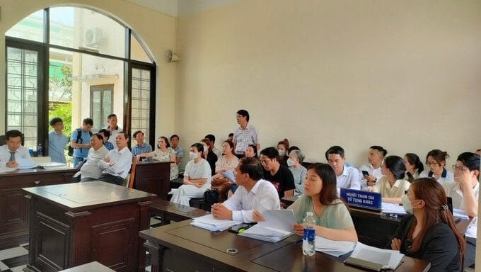 Yêu cầu rà soát việc thi hành Kết luận thanh tra vụ mua bán 105 lô đất dự án Tam Anh Nam