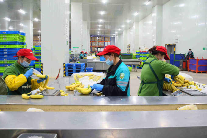 Hàng Trung Quốc giá rẻ càn quét việc làm khắp thế giới