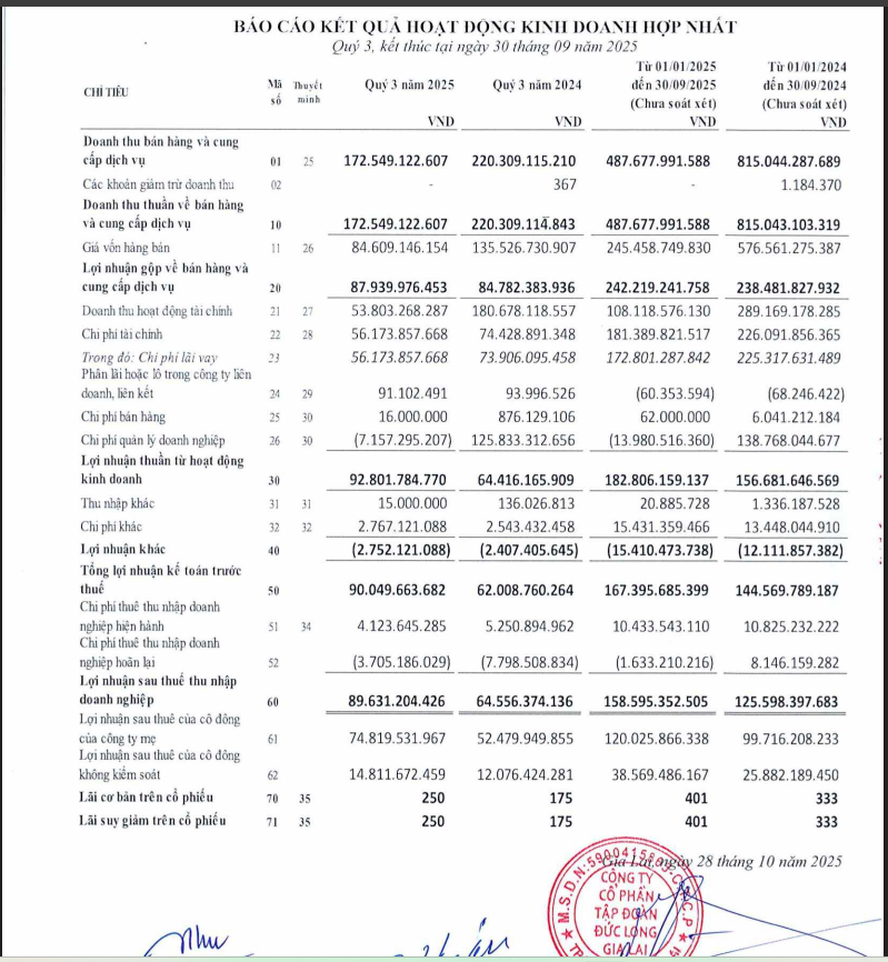 Một số chỉ tiêu tài chính của Đức Long Gia Lai.