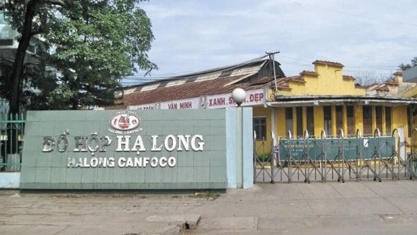 Khởi tố 9 bị can trong đường dây tiêu thụ hơn 130 tấn thịt lợn bệnh tại Công ty Đồ hộp Hạ Long