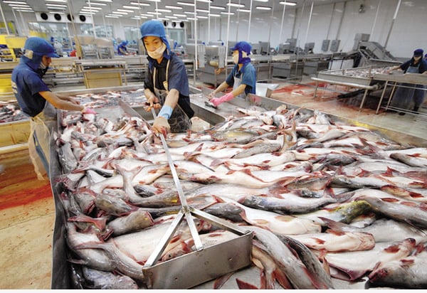 Công ty Thủy sản số 4 bị phạt do không công bố thông tin