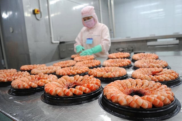 Sao Ta ước lãi 420 tỷ đồng năm 2025