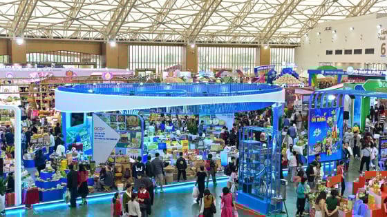 Chuẩn bị tổ chức Hội chợ Quốc gia mùa Xuân vào tháng 2-2026