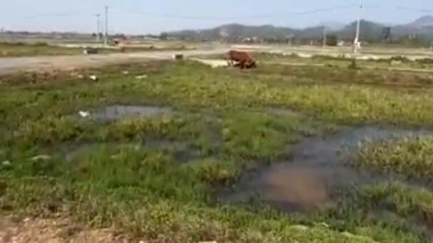 Bất ngờ môi giới, “cò” đất vắng bóng tại khu đấu giá Nam Lĩnh, Nghệ An