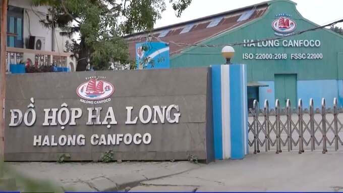 Bắt Tổng giám đốc Công ty Đồ hộp Hạ Long