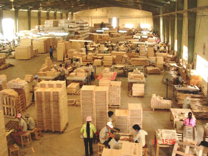 “Đại gia” ngành gỗ Phú Tài đặt mục tiêu doanh thu 8.790 tỷ đồng năm 2026