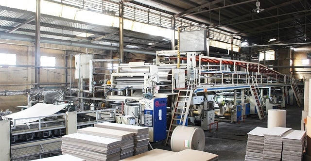 Giấy Việt Trì sẽ tạm ứng cổ tức 30% bằng tiền mặt