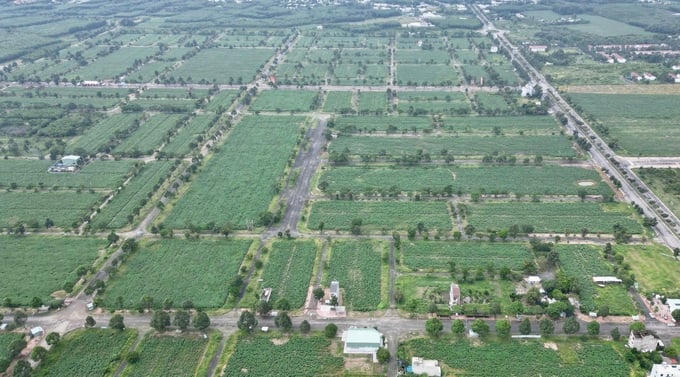 Đồng Nai: Khởi công hai dự án nhà ở xã hội, giá từ 450 triệu đồng/căn