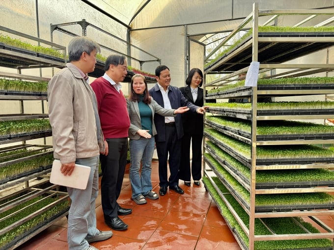 Hà Nội chủ động nguồn cung nông sản, thực phẩm phục vụ Tết Nguyên đán 2026