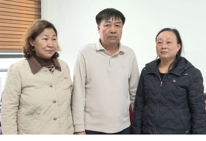 Khởi tố Chủ tịch Tập đoàn Cường Minh trốn thuế hơn 1,2 tỷ đồng