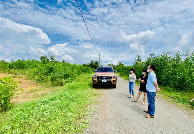“Bắt mạch” dòng tiền của nhà đầu tư địa ốc khi thị trường không còn phân khúc “vua”
