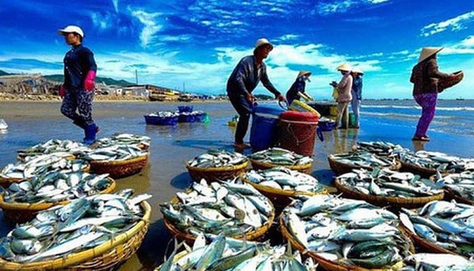 Doanh nghiệp thủy sản bứt phá trong năm 2025