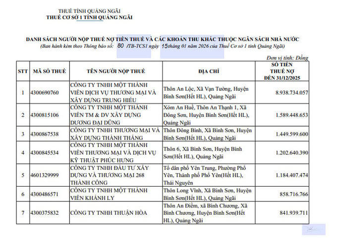 Công ty Trung Hiếu và Dương Đại Dũng nợ thuế hơn 10 tỷ đồng