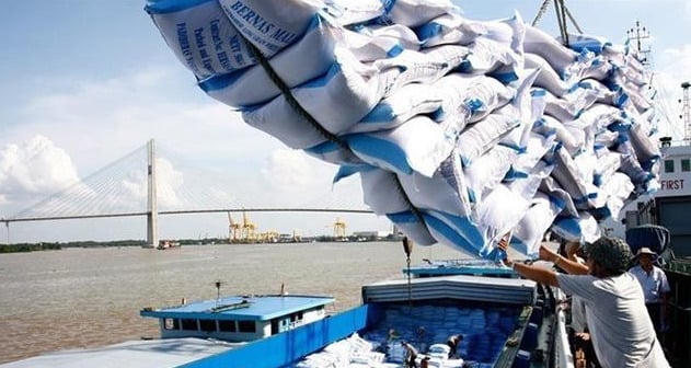 Dự kiến xuất khẩu khoảng 7,73 triệu tấn gạo năm 2026