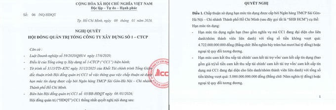 CC1 chuẩn bị nguồn lực và kỳ vọng tăng trưởng