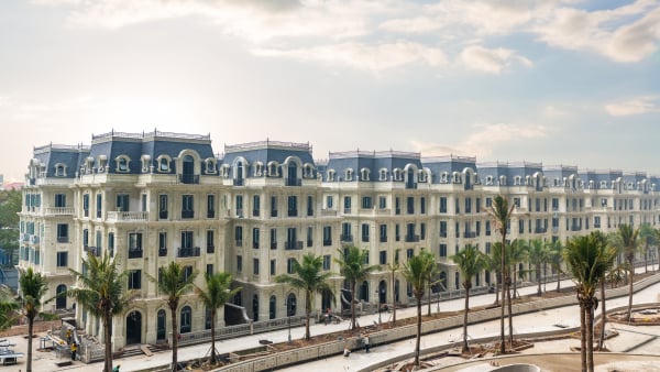 Sunshine Group tạo đột phá trong giai đoạn tái cấu trúc: Lợi nhuận 2025 vượt 11.200 tỷ, tổng tài sản gần 120.000 tỷ