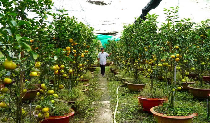 Đồng Tháp lấy đo lường làm “đòn bẩy” nâng cao chất lượng nông sản