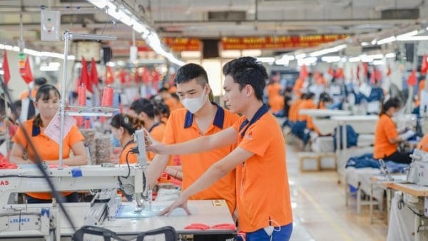 Đề xuất chế độ kế toán đơn giản cho doanh nghiệp siêu nhỏ