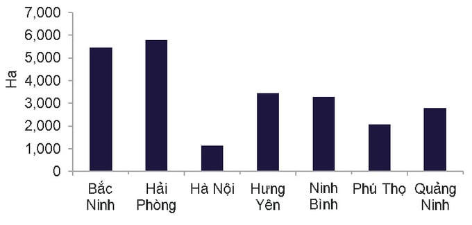 Thị trường Bất động sản Công nghiệp miền Bắc: Tăng trưởng đột phá, cung - cầu đều khởi sắc
