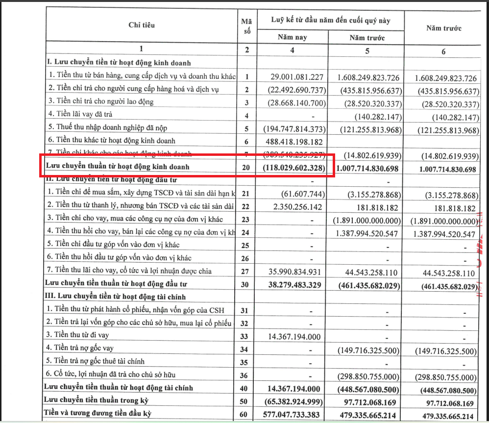 Dòng tiền kinh doanh của NTL âm hơn 118 tỷ đồng.