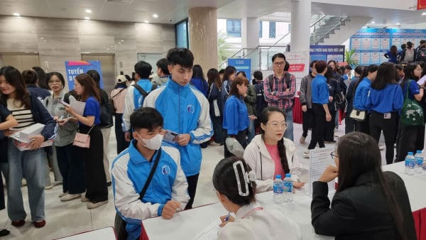 Dịch vụ tuyển dụng lao động cho doanh nghiệp chế xuất cần đáp ứng tiêu chí nào để được áp dụng thuế suất 0%?